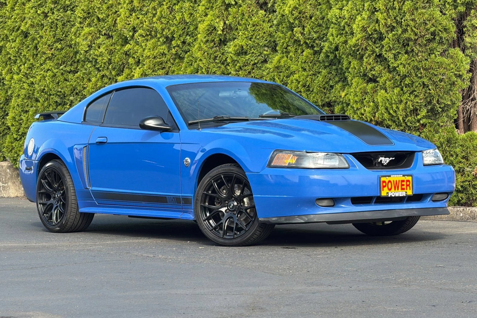2004 Ford Mustang Premium Mach 1