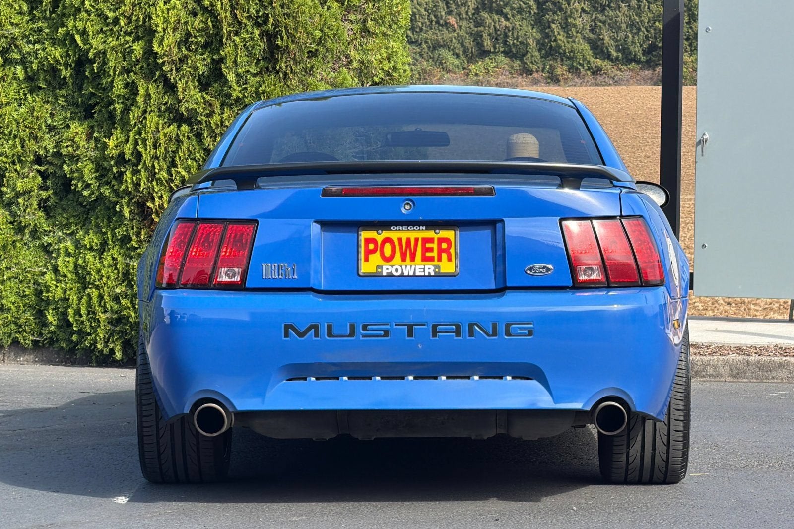 2004 Ford Mustang Premium Mach 1