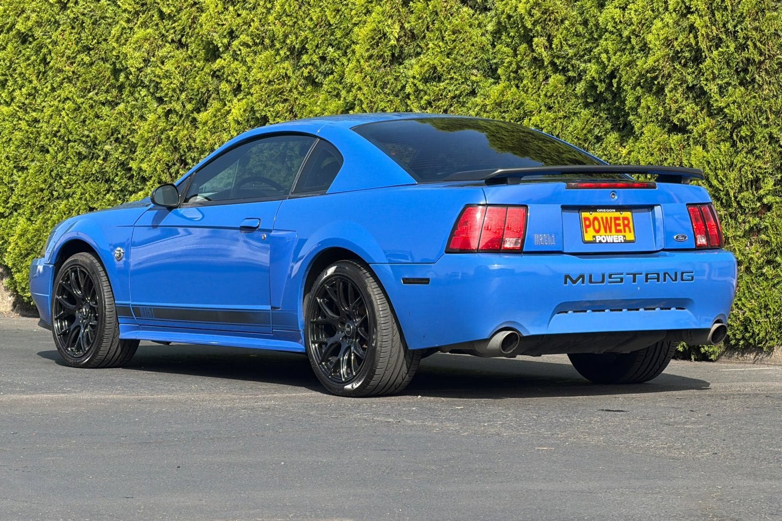 2004 Ford Mustang Premium Mach 1