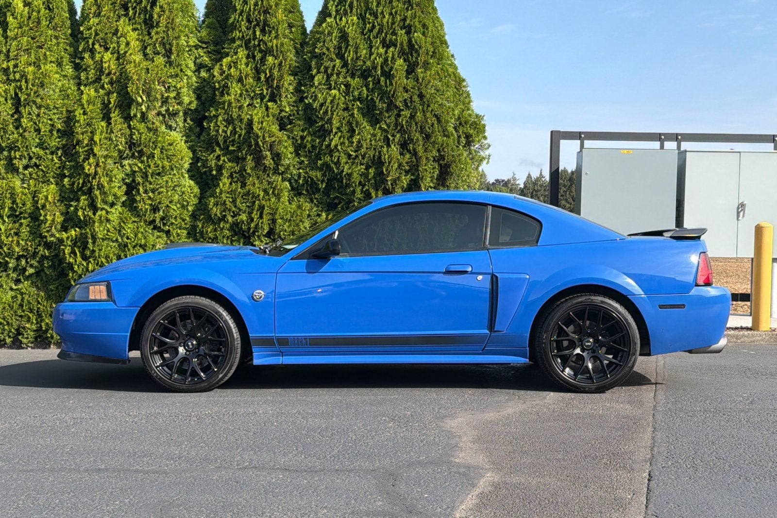 2004 Ford Mustang Premium Mach 1