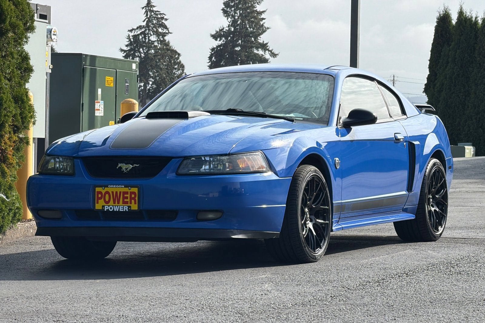 2004 Ford Mustang Premium Mach 1