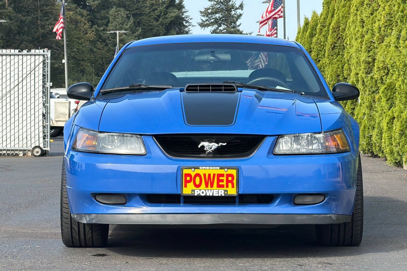 2004 Ford Mustang Premium Mach 1