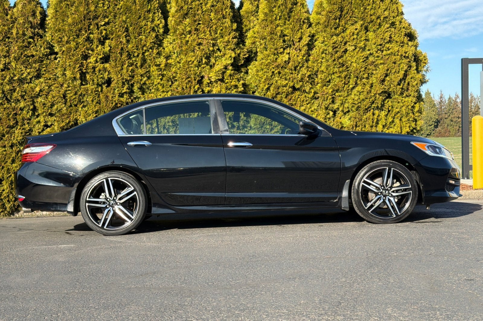 2017 Honda Accord Sedan Sport