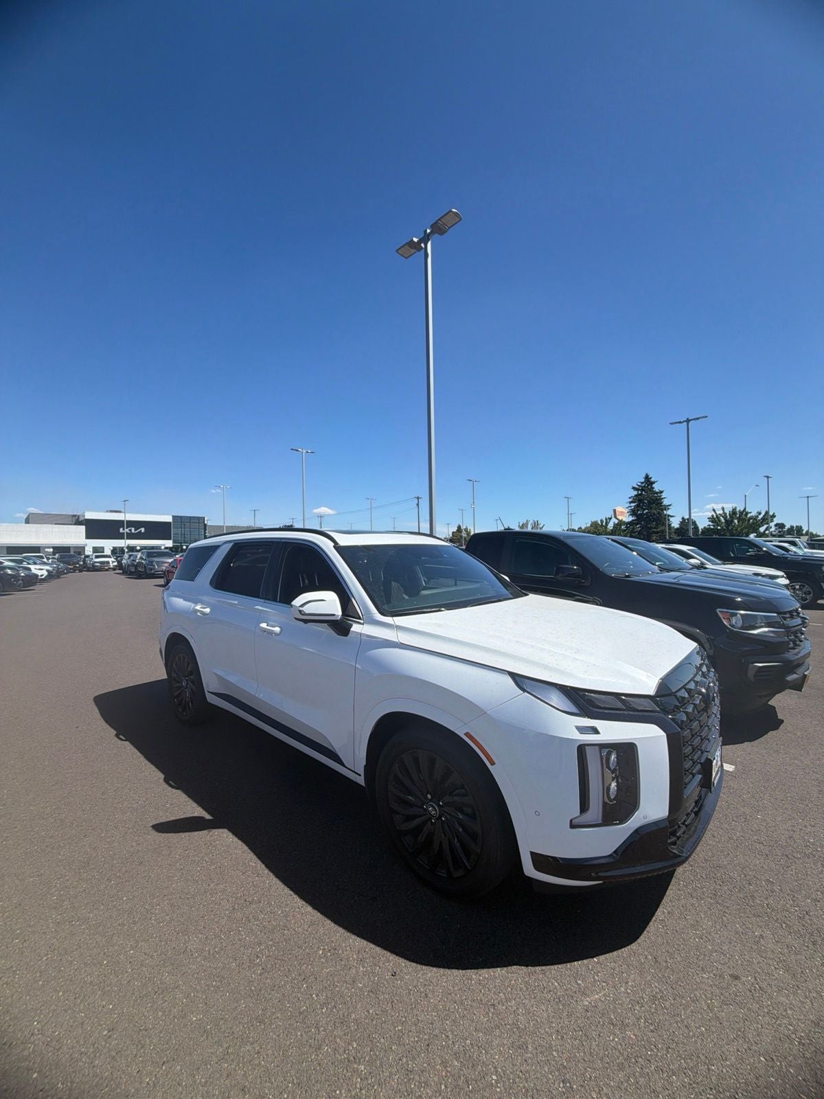 2025 Hyundai Palisade Calligraphy Night Edition