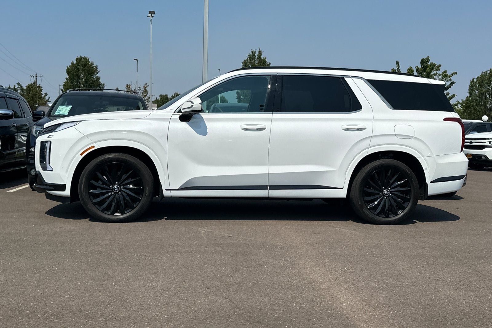 2025 Hyundai Palisade Calligraphy Night Edition