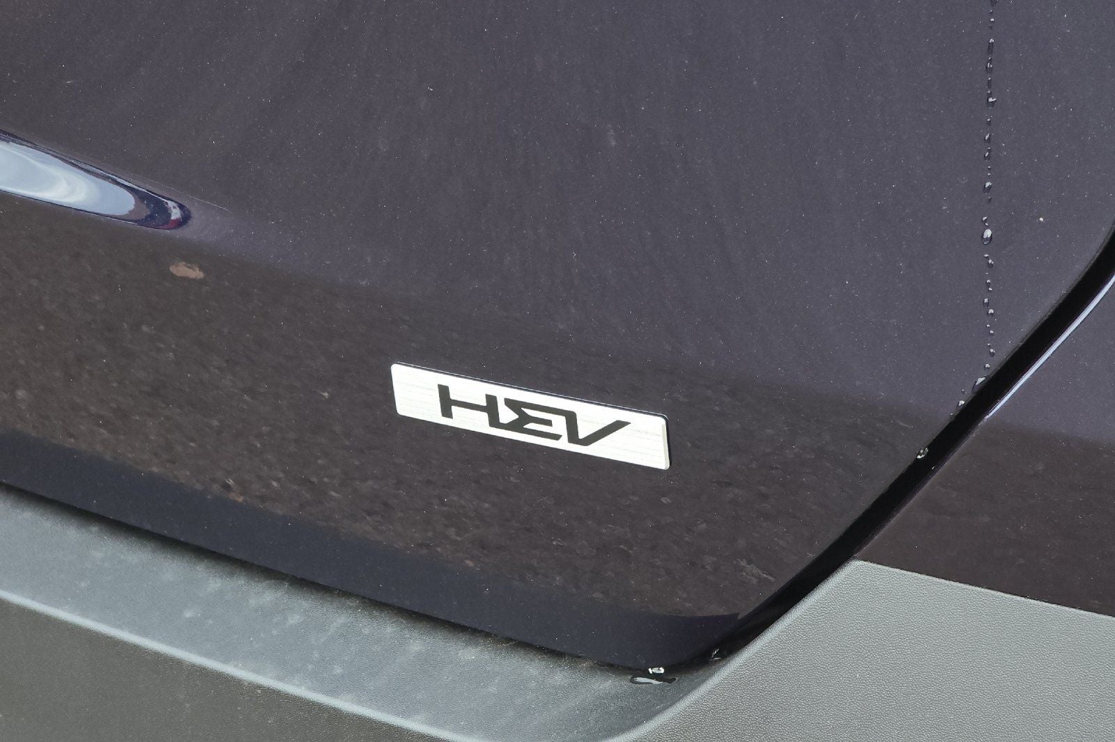 2026 Kia Carnival Hybrid LXS